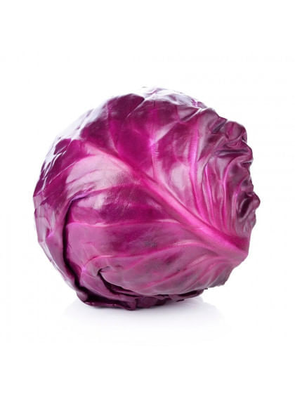Repolho Roxo
