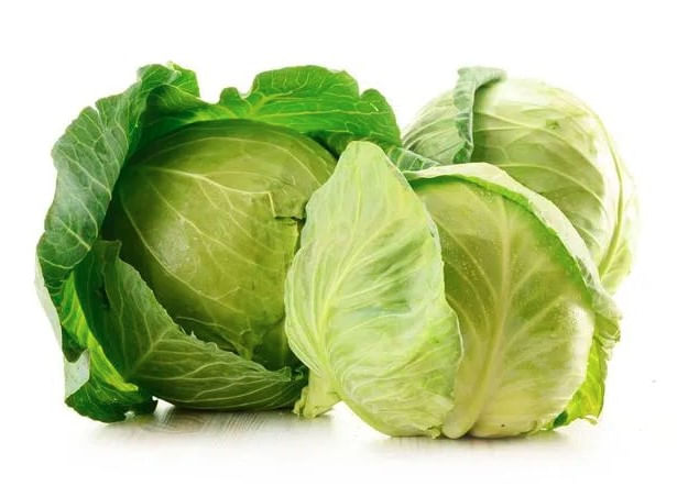 Repolho Verde
