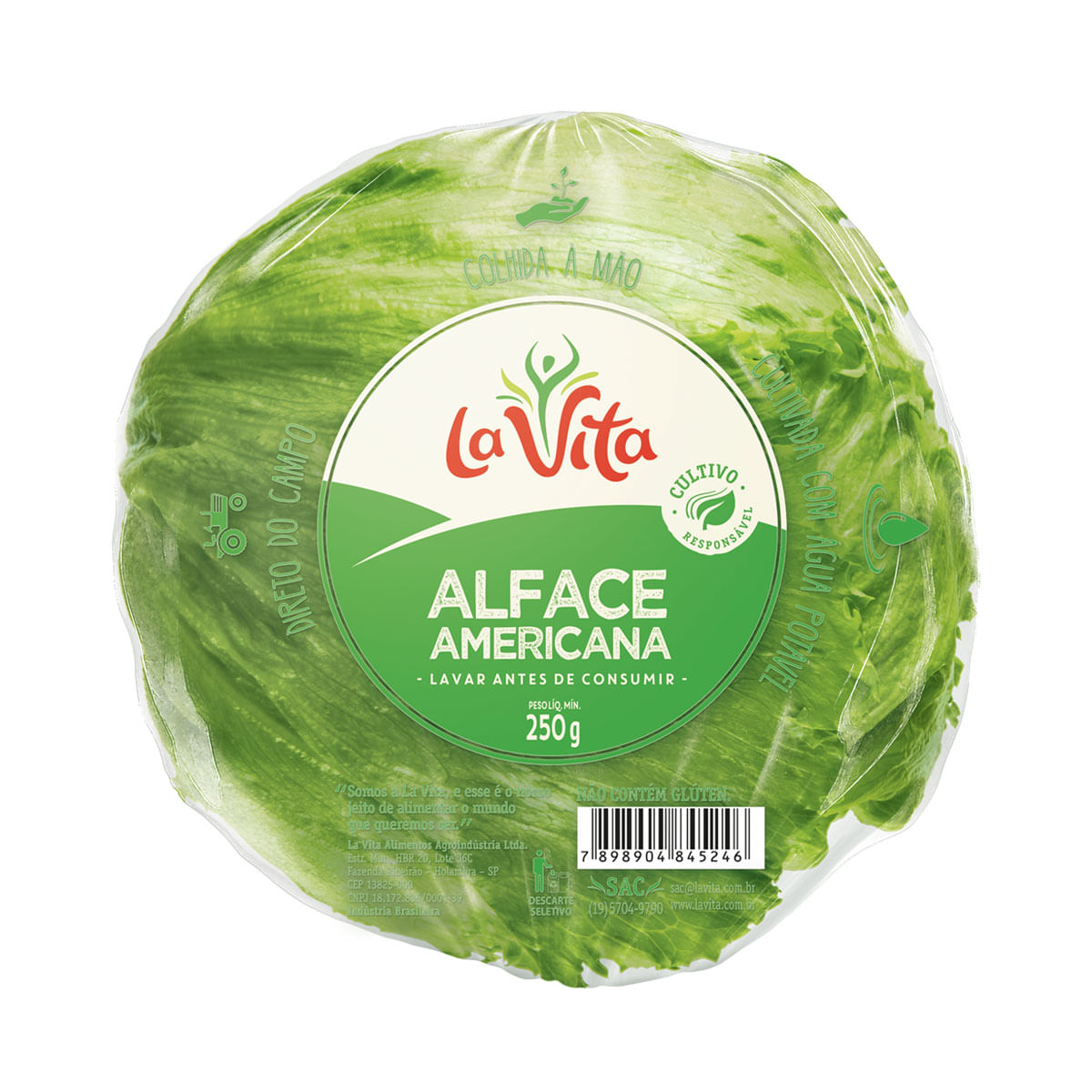 Alface Americana Bola La Vita 250g